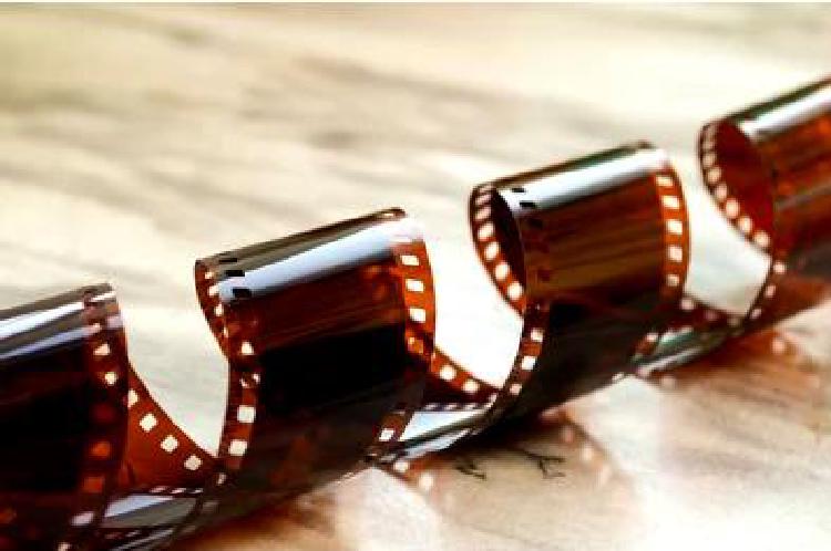 Роль кинообществ в культивировании кинематографической культуры
